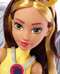 darth-alinart's — DC Super Hero Girls Hawkgirl Action Doll