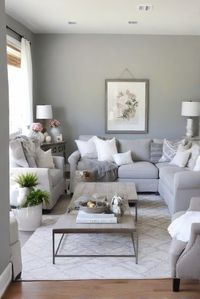 SW Light French Gray (0055) Living Room Serenity: Top Pick 2024! - upgradesign.blog