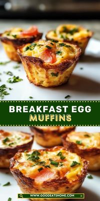 Start your mornings right with these healthy and customizable egg muffins! Packed with protein and veggies, they’re perfect for meal prep or a grab-and-go breakfast.