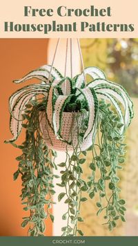 Free Patterns for Unique Crochet Houseplants – Great for crafting decorative greenery that lasts forever.