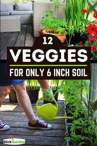 In this article, we are going to discuss with you those vegetables which can easily grow in 6 inches of soil. Make sure you choose suitable varieties according to the requirements of the vegetables.