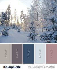 Color Palette Ideas from Winter Snow Frost Image