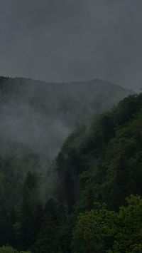 #mountains #photography #nature #foggy