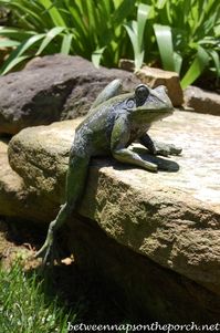 Frog Sculpture in the Garden