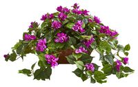 Arrives by Thu, May 11 Buy Bougainvillea in Metal Planter at Walmart.com