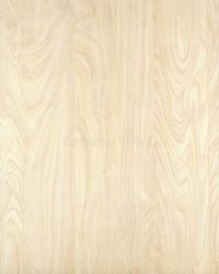 Wood texture background birch_10. Wood texture background. High resolution. Plea , #spon, #High, #background, #Wood, #texture, #type #ad