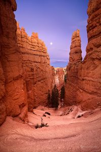 Bryce Canyon / USA