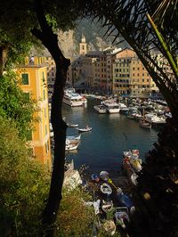 ✮ Camogli, Liguria, Italy