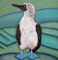 Blue Footed Booby by Janel Houton