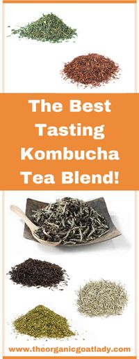 The Best Tasting Kombucha Tea Blend! - The Organic Goat Lady