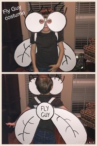 Diy Fly Guy costume. Made eyes and wings out of foam board (2 sheets). Added…