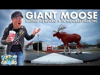 A Giant Moose & Delicious Food At Bucko’s In Mooresville North Carolina - YouTube