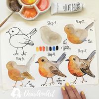 Learn how to paint a robin bird in watercolor | learn how to paint animals in watercolor for beginners step by step | painting ideas for newbie ideas | #animals #watercolor #drawingideas