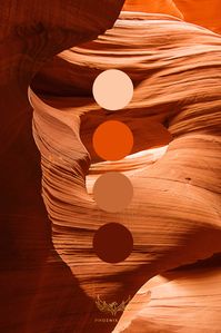 #colorpalette #orange #palette #nature #palettecouleurs #pin #pinterest #colors #moodboard #inspo #inspiration #background #graphicdesign #design