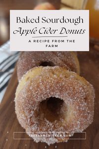 Sourdough Apple Cider Donuts (Baked): A Recipe from the Farm - TheFarmChicken