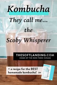 Homemade kombucha freed me from on-going soda cravings. Now they call me the SCOBY whisperer. Besides that, I have the most delicious kombucha recipe EVER! #kombucha #kombucharecipe #homemadekombucha via @thesoftlanding