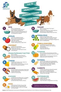 The 15 Healthiest Human Foods You Can Feed Your Dog #inkpixi #personalizedgifts #pets #dogs #dog #food #fruits #vegetables #pets #safe, https://medium.com/p/d0c0192acd76/?food