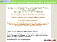 cool Home Cooking for Sick Dogs | Avoiding Prescription Diets for Pets