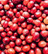 Everything you need to know about fall-favorite cranberries! Where they're from, different varieties, and the health benefits of this potent little berry.