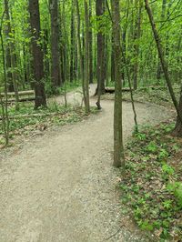 Hope Woods and Cemetery - Maine | AllTrails