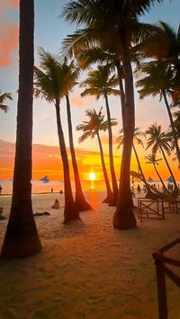 Boracay’s blend of natural beauty, exciting activities, and vibrant culture makes it a top destination for travelers seeking both relaxation and adventure. Whether you’re lounging on its pristine beaches or exploring its underwater wonders, Boracay promises an unforgettable tropical escape. #boracay #philippines