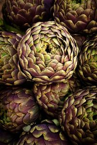 Artichoke