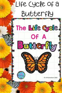 Fun Life Cycle of a Butterfly emergent reader for Preschool, kindergarten, first grade and second grade students. Includes lesson plans and activities. Take a peek at the video preview! #lifecycleofabutterfly #butterflyactivities