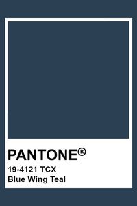 PANTONE 19-4121 TCX Blue Wing Teal