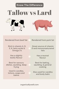 What's the difference between tallow vs lard? Learn which is from beef and pork, how they are made through rendering fat and rendering beef fat, tallow benefits, health benefits of lard and benefits of tallow skincare. Read all about beef tallow nutrition and how to use it for cooking, and how to bake recipes like old fashioned biscuits with lard. Explore how to use these healthy fats beyond holistic nutrition for DIY soap, candles, balm, and lotion! Get in on these lard skin benefits for healthy, glowing skin!