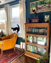 I think it’s safe to say that it’s a better view now 👀 [Image Description 1: the sunlight bounces through a dark green home library. An… | Instagram