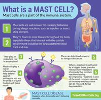 What is Mast Cell Activation Syndrome? – TICKED OFF MAST CELLS