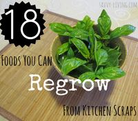 Alternative Gardning: grow plants from kitchen scraps