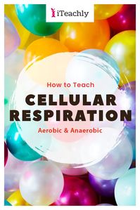 BIOLOGY - HIGH SCHOOL TEACHER - TEACHER RESOURCES - SCIENCE CLASS - SCIENCE LESSONS - How to teach Cellular Respiration - The phrase “cellular respiration” can make even the most experienced Biology teacher shudder. Click now to discover this free science lesson that includes a science video perfect for your High School or Homeschool classroom! #iteachly #biology #sciencevideos #highschool #sciencelesson #biologylesson #freesciencelesson #teacherresources