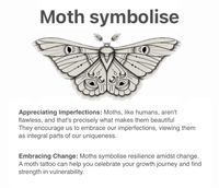 Moths and their meanings