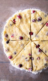 My favorite Cranberry Orange Scones are made with sour cream to make them so moist and flaky! Orange glazed cranberry orange scones make the best easy scone recipe for Christmas. We love making scones from scratch for neighbor gifts!