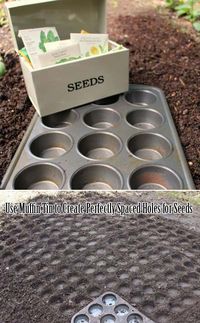 Easy to do evenly spaced seeds