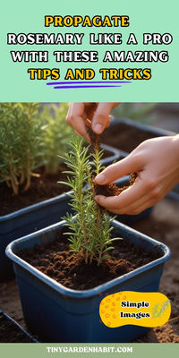 Grow your own rosemary garden with our easy-to-follow guide on propagating from cuttings. Discover the secrets to nurturing new plants and enjoy a bounty of fresh herbs at your fingertips.