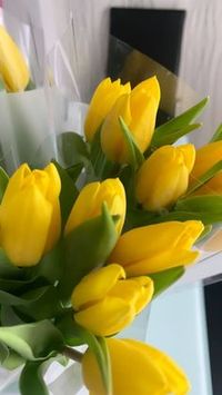 yellow tulips