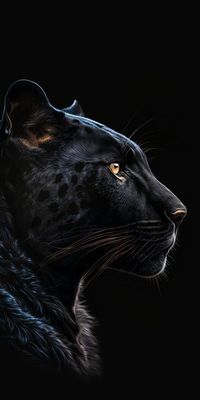 Panther Tattoo ideas. Limited availability at Salvation Tattoo Studios 