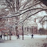 university of iowa winter - Google Search