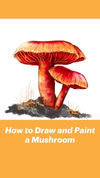 Difficulty: Easy

 

Learn how to draw and colour a mushroom with these step by step instructions. Mushrooms are a fun and quick sketchbook idea for those who enjoy experimenting with colours. Just grab your favourite drawing materials and let's begin!
 • Pencil
 • Pen
 • Paper
 • Eraser
 • Pen Tablet or Wacom

