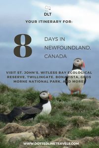 In 8 days in Newfoundland, visit St. John's, Witless Bay Ecological Reserve, Twillingate, Gros Morne National Park, L'Anse Aux Meadows, Bonavista, and the Elliston puffin viewing. #newfoundland #canada