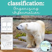 Classification: Organizing Information Freebie by Biology Roots | TPT