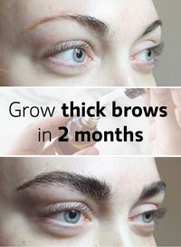 How to grow eyebrows and eyelashes How to grow eyebrows and eyelashes, how to grow eyelashes longer and thicker at home, how to grow eyebrows in 3 days, eyebrow and eyelash growth serum homemade, eyebrows and eyelashes growth oil, eyelashes and eyebrows, castor oil for eyelashes and eyebrows, eyelashes and eyebrows falling out, how to make your eyebrows grow overnigh