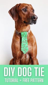 Check out this dog ties free sewing pattern and tutorial. This is an incredibly simple sewing project that even beginners can tackle in less than half an hour.