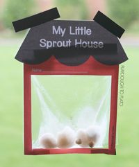 Grow seeds in a homemade little sprout house greenhouse. Super fun science for kids!