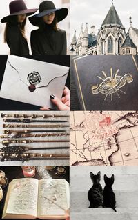 chamberofaesthetics: “ Ilvermorny School of Witchcraft and Wizardry Located on the highest peak of Mount Greylock in North America. + Hogwarts ”