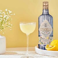 French Breakfast Martini Recipe (Citadelle Gin Jardin d’été, Ferrand Dry Curaçao, Lemon Juice, Jam): Who says you can't have a  Martini  for breakfast? Not us. And certainly not anyone we care to associate with. But you may want to tweak your morning Mart...