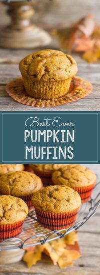 Best Ever Pumpkin Muffins!  Perfectly sweet with just a little spice.