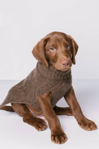 Keep your furry babies cozy and warm in our pure luxury cable knit sweater. 75 grams of 100% pure cashmere in 9-gauge knit Pullover turtleneck style Square body shape Slit to allow easy collar access for a leash Ribbed trim Hand Wash Cold or Dry Clean Size & Fit XS: back length: 12.5" / chest: 14" / neck: 10" S: back length: 14.5" / chest: 16" / neck: 12" M: back length: 16.5" / chest: 20" / neck: 14" L: back length: 18.5" / chest: 24" / neck: 16" XL: back length: 20.5" / chest: 28" / neck: 18"